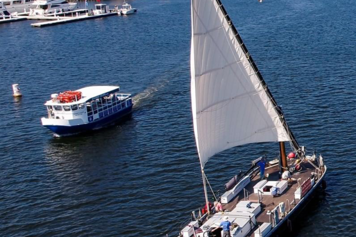 Two boats in a harbor with buildings and trees in the background under a blue sky.