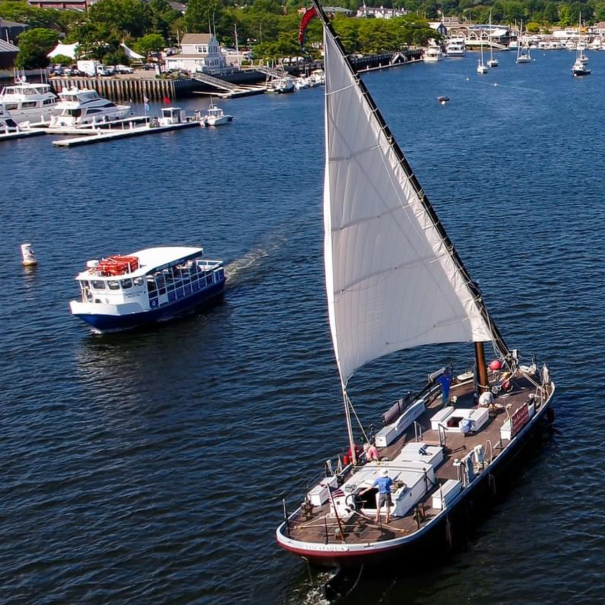 Two boats in a harbor with buildings and trees in the background under a blue sky.